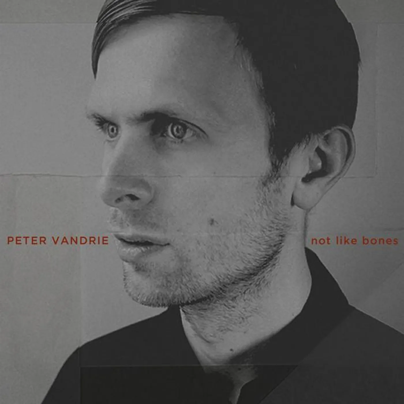 Peter Vandrie