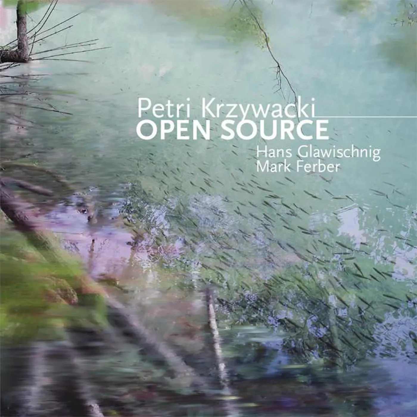 Petri Krzywacki