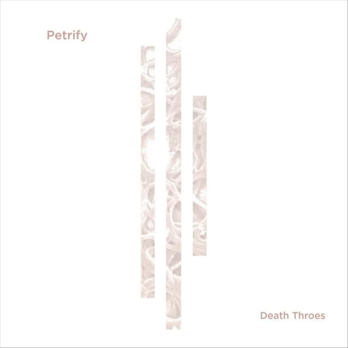Petrify
