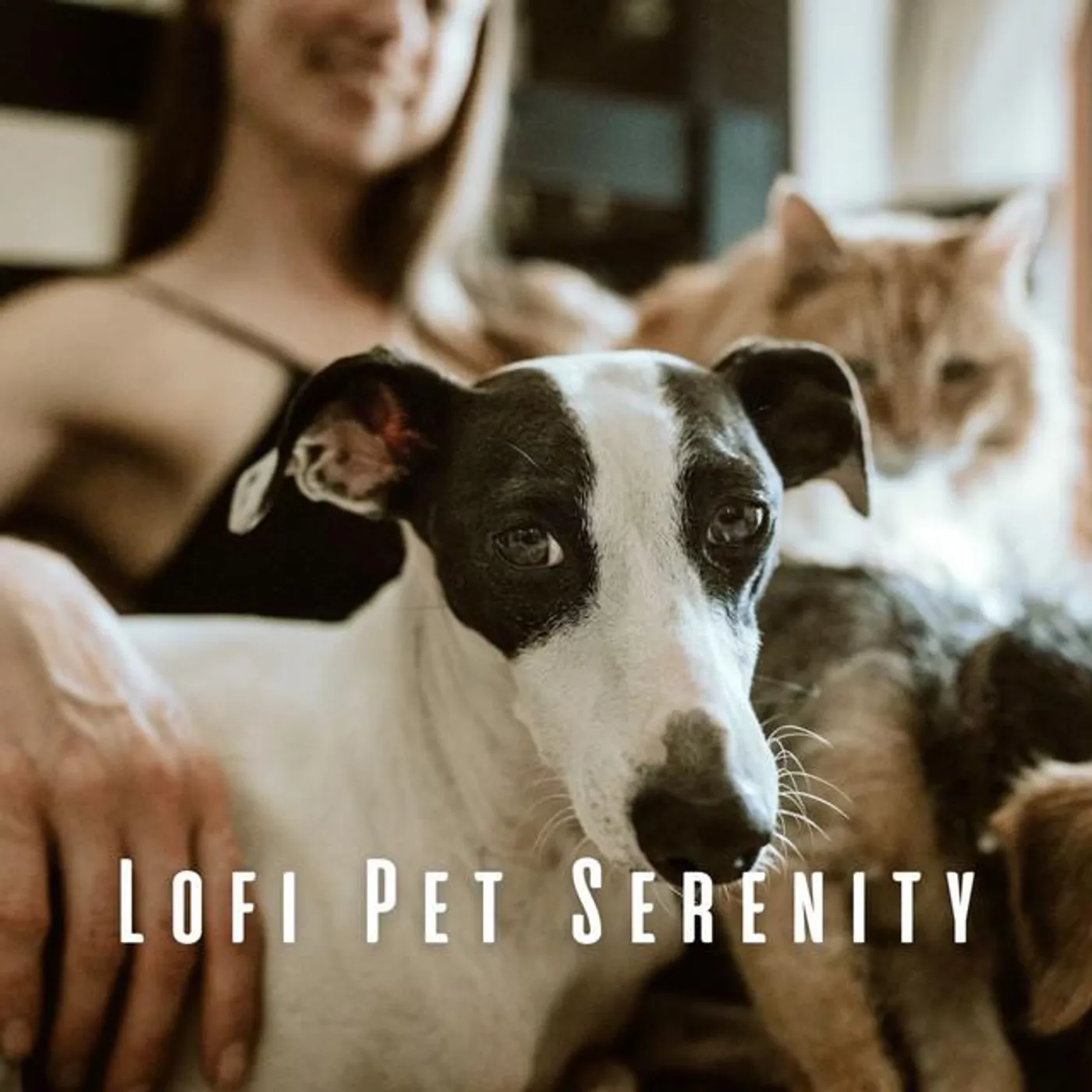 Pets Brand Page