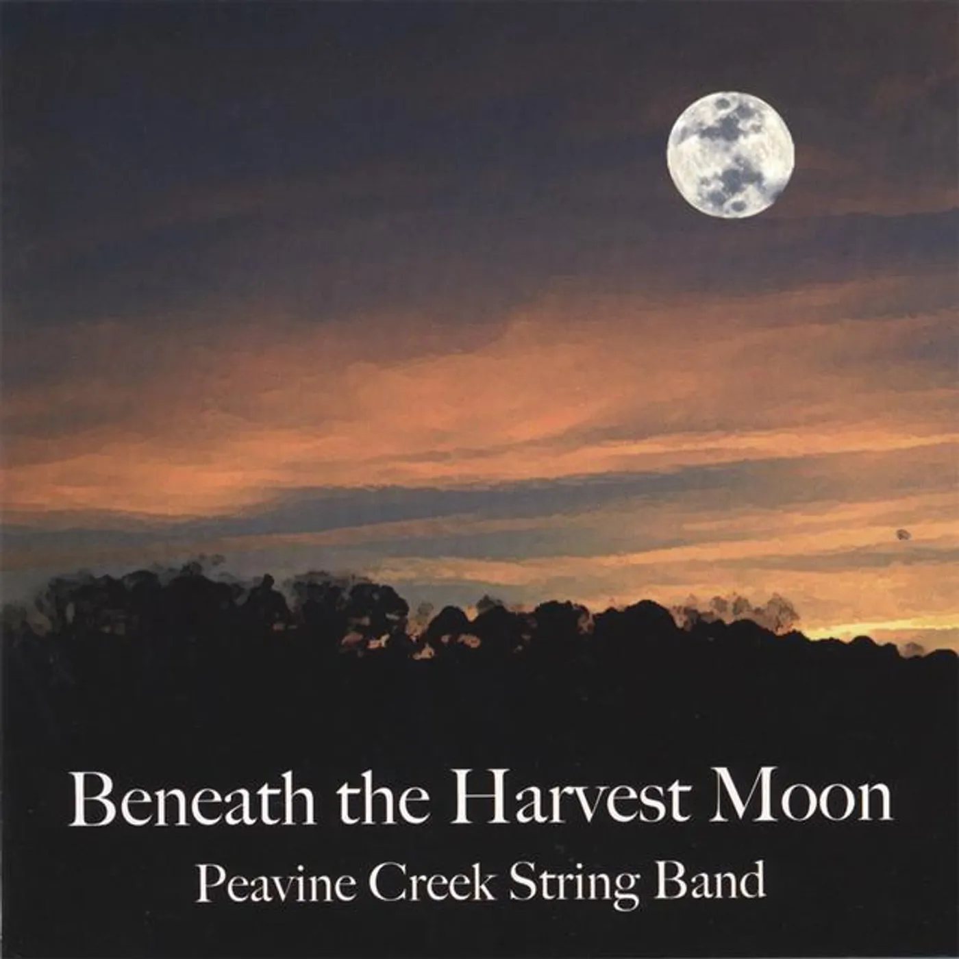 Peavine Creek String Band
