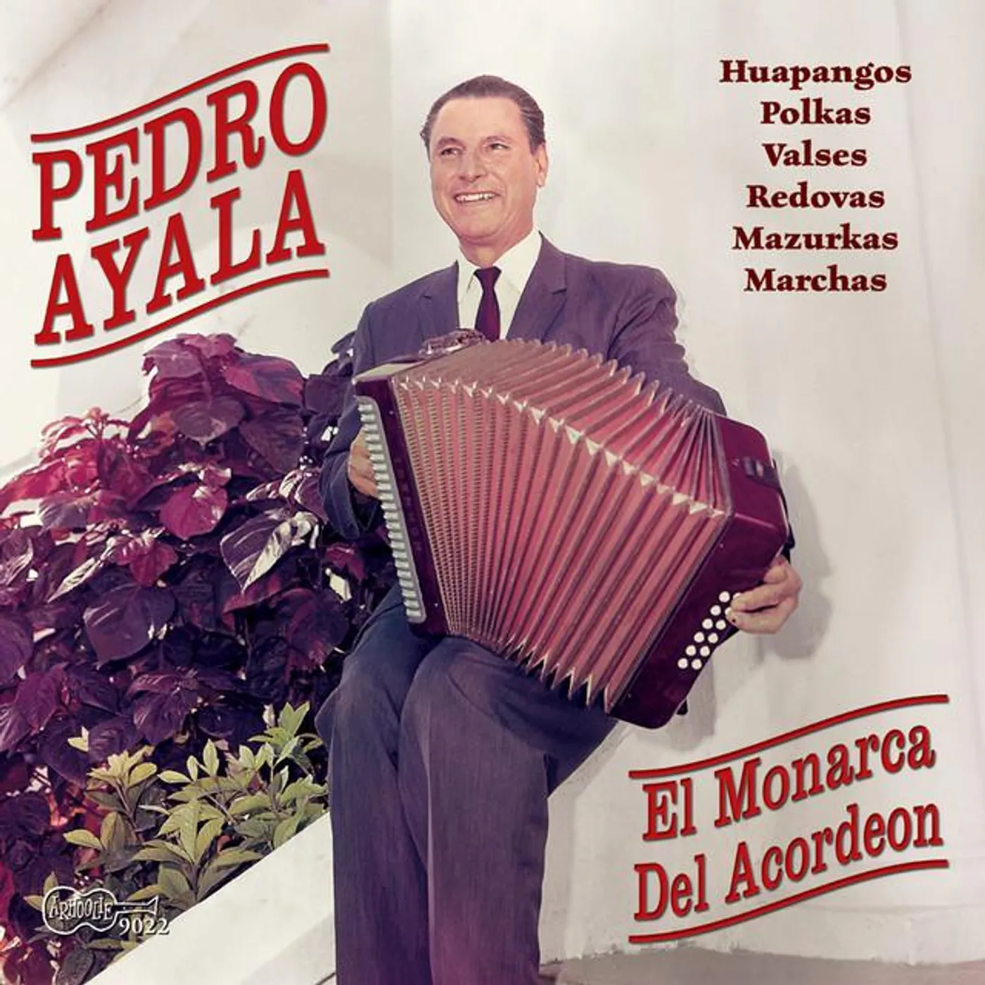 Pedro Ayala Brand Page