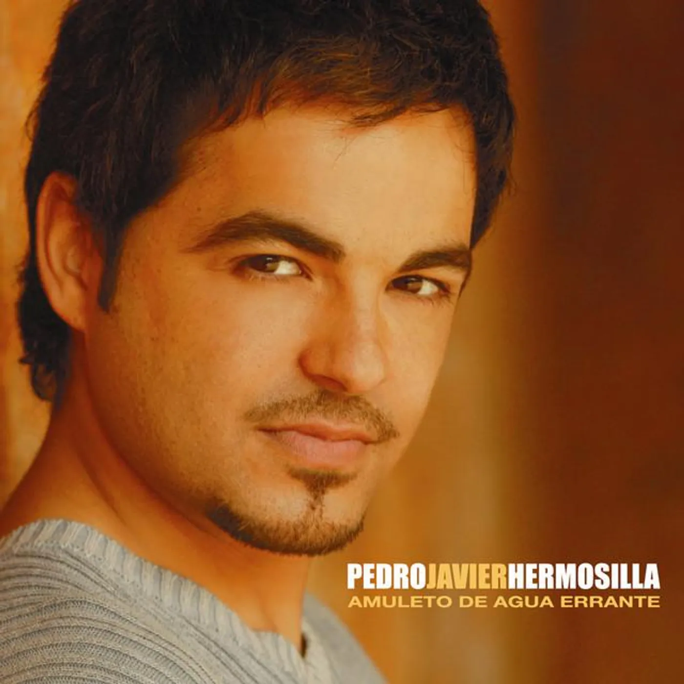 Pedro Javier Hermosilla