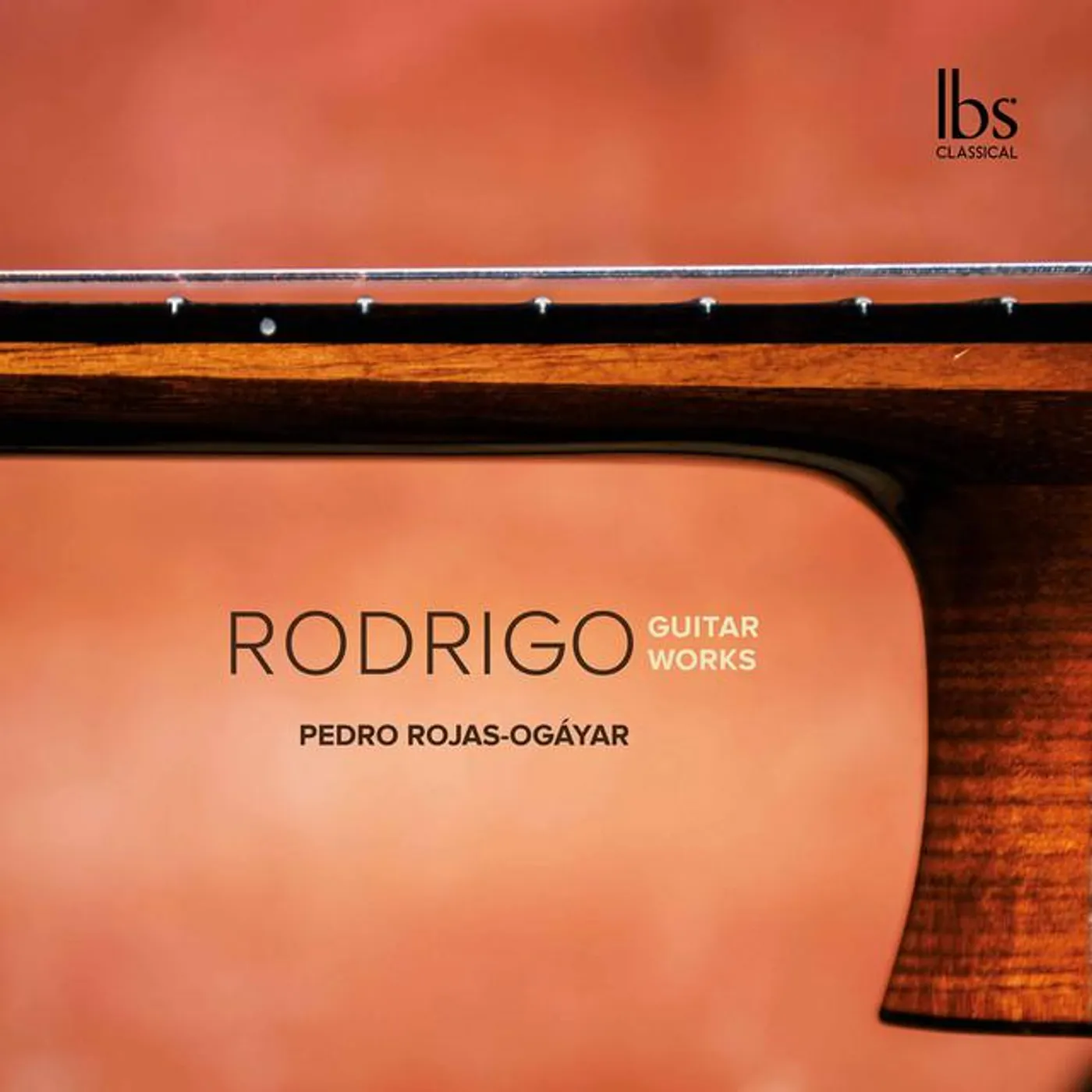 Pedro Rojas Ogáyar