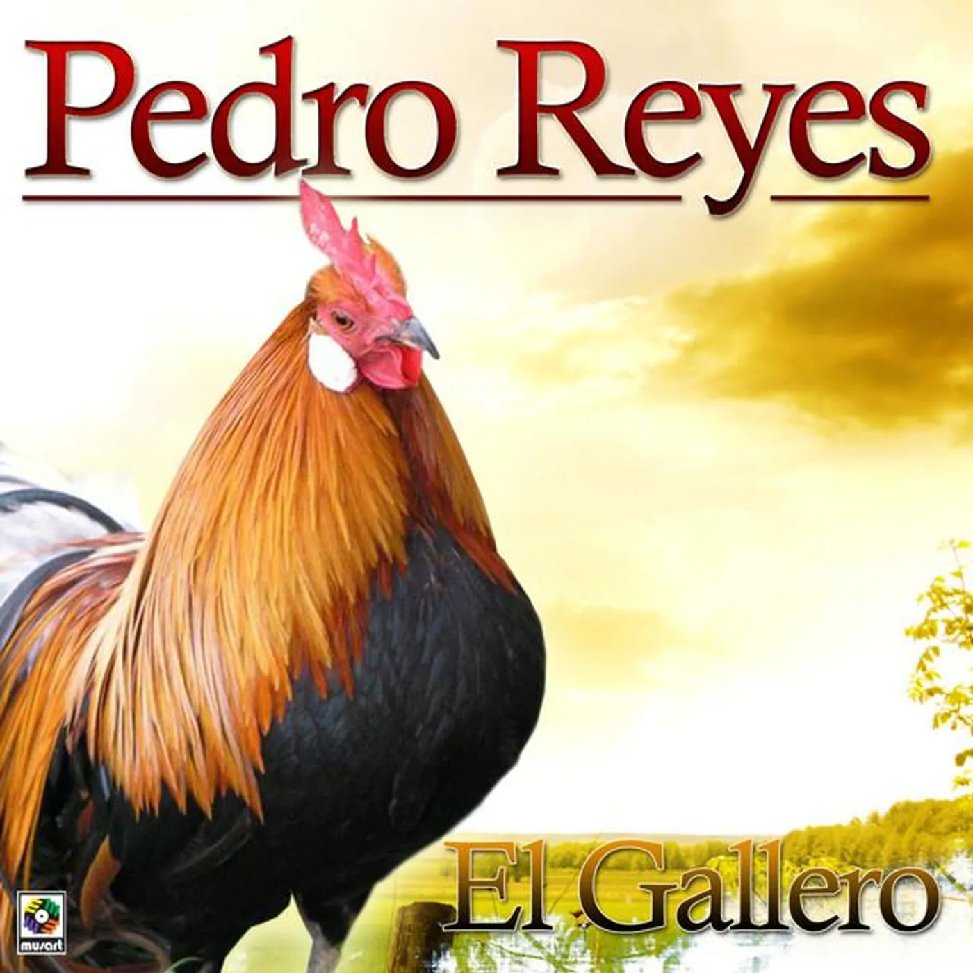 Pedro Reyes