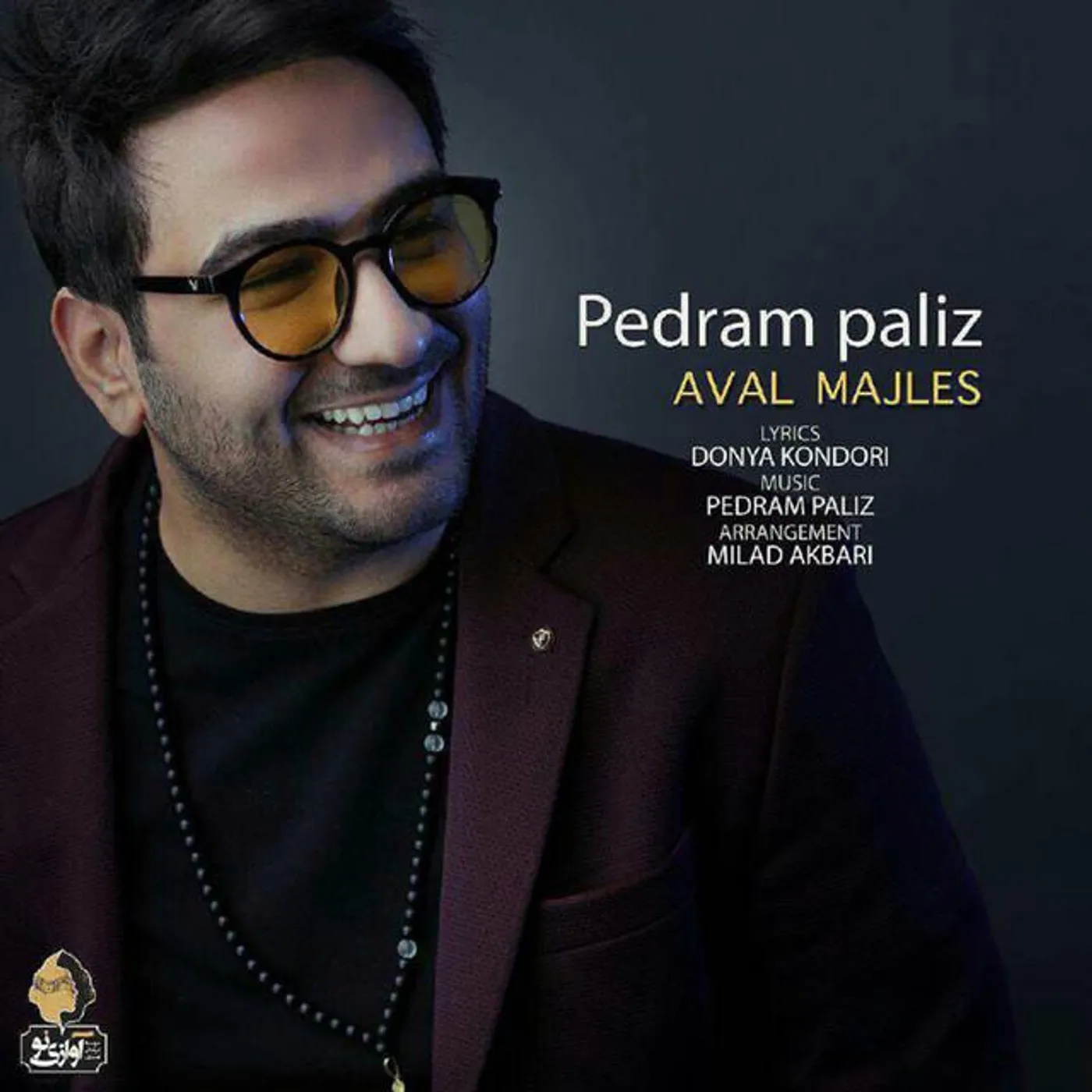 Pedram Paliz