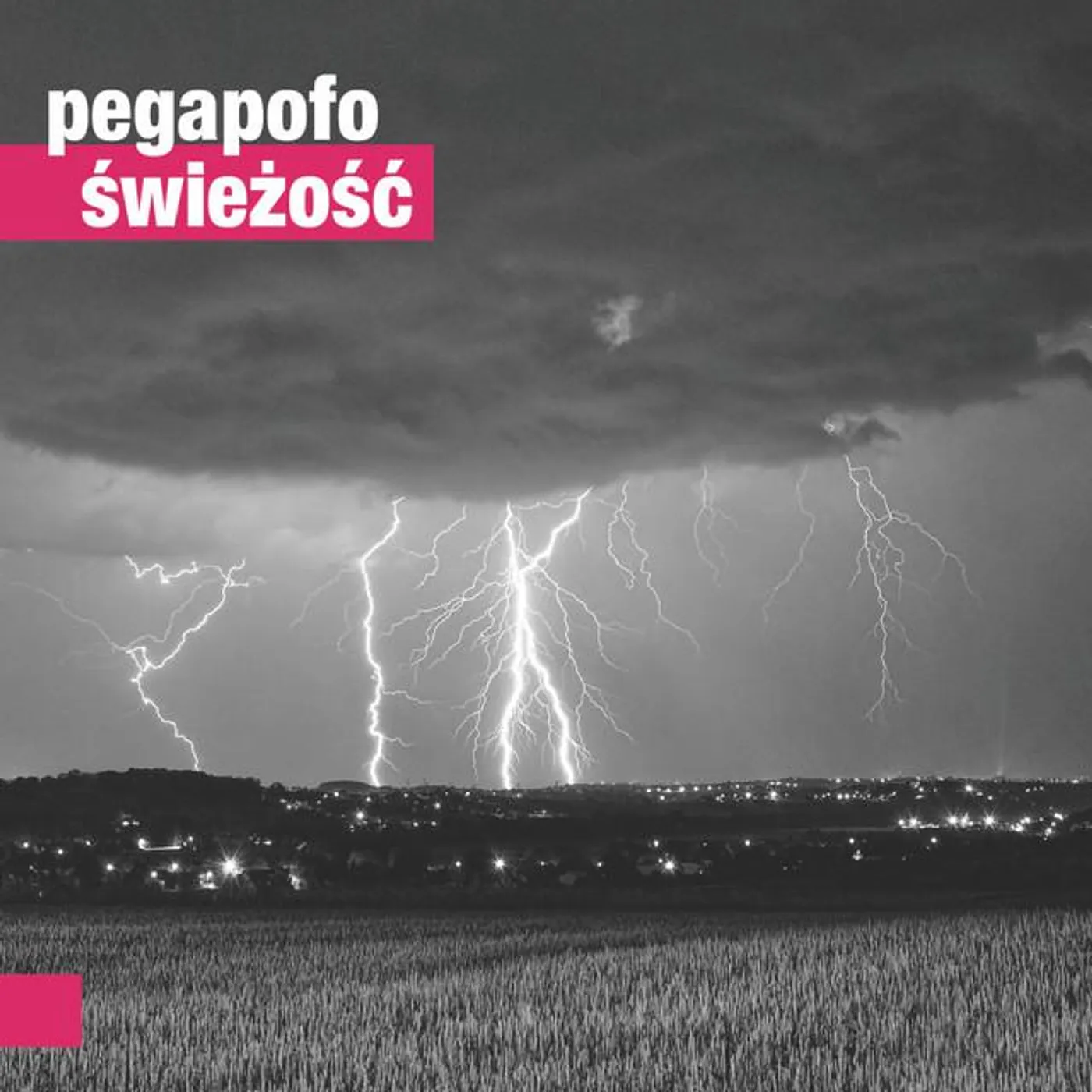 Pegapofo