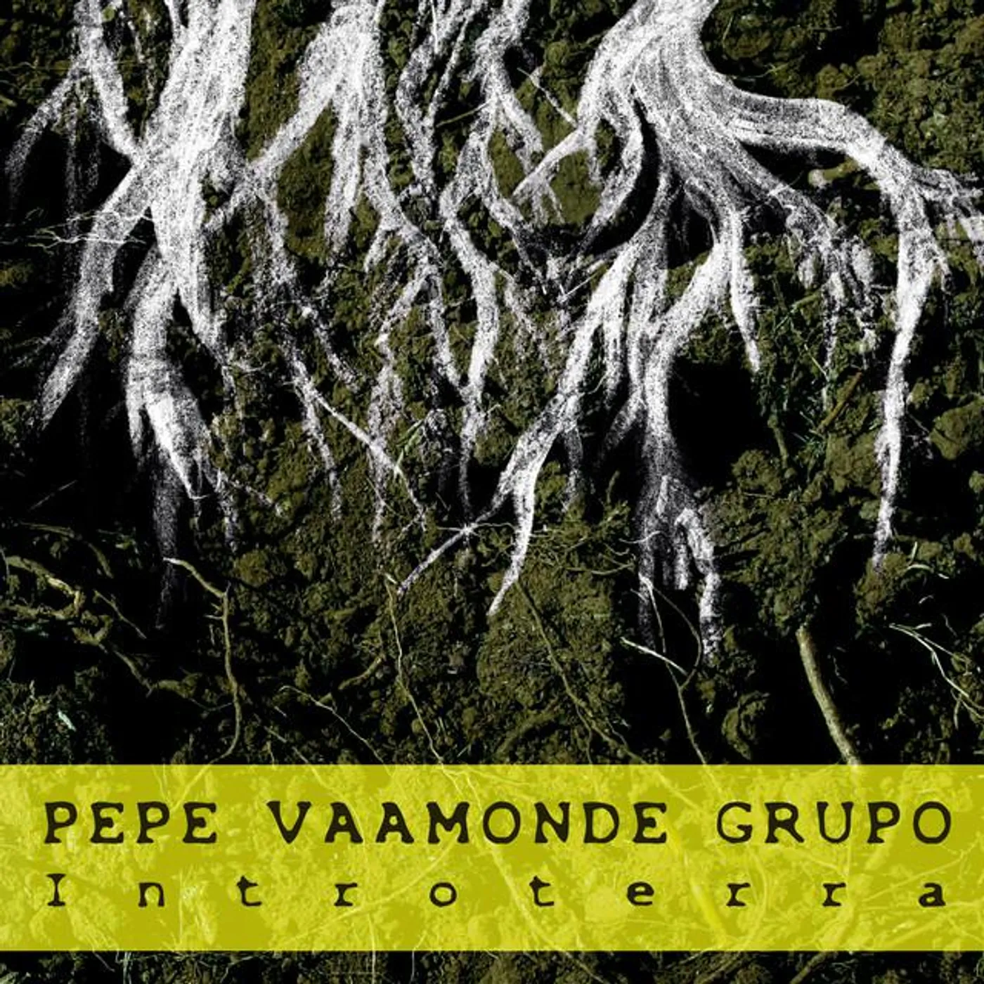 Pepe Vaamonde Grupo Brand Page