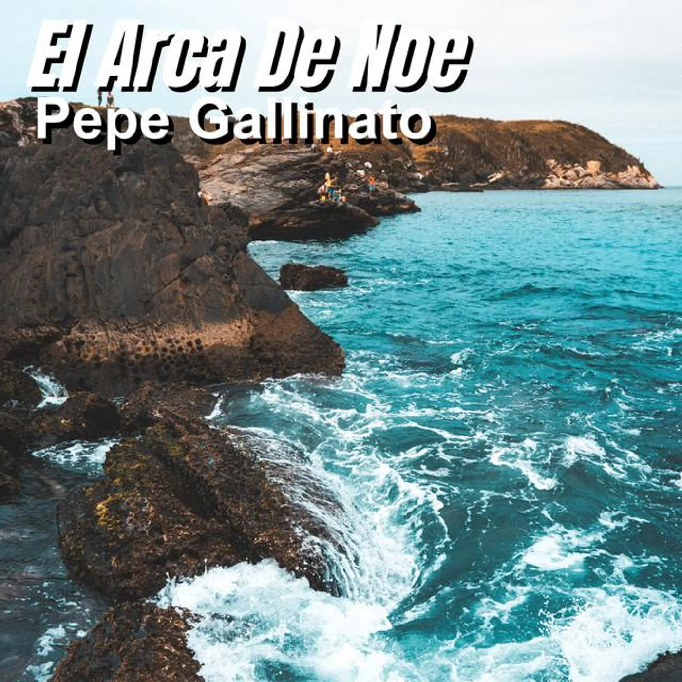 Pepe Gallinato Brand Page