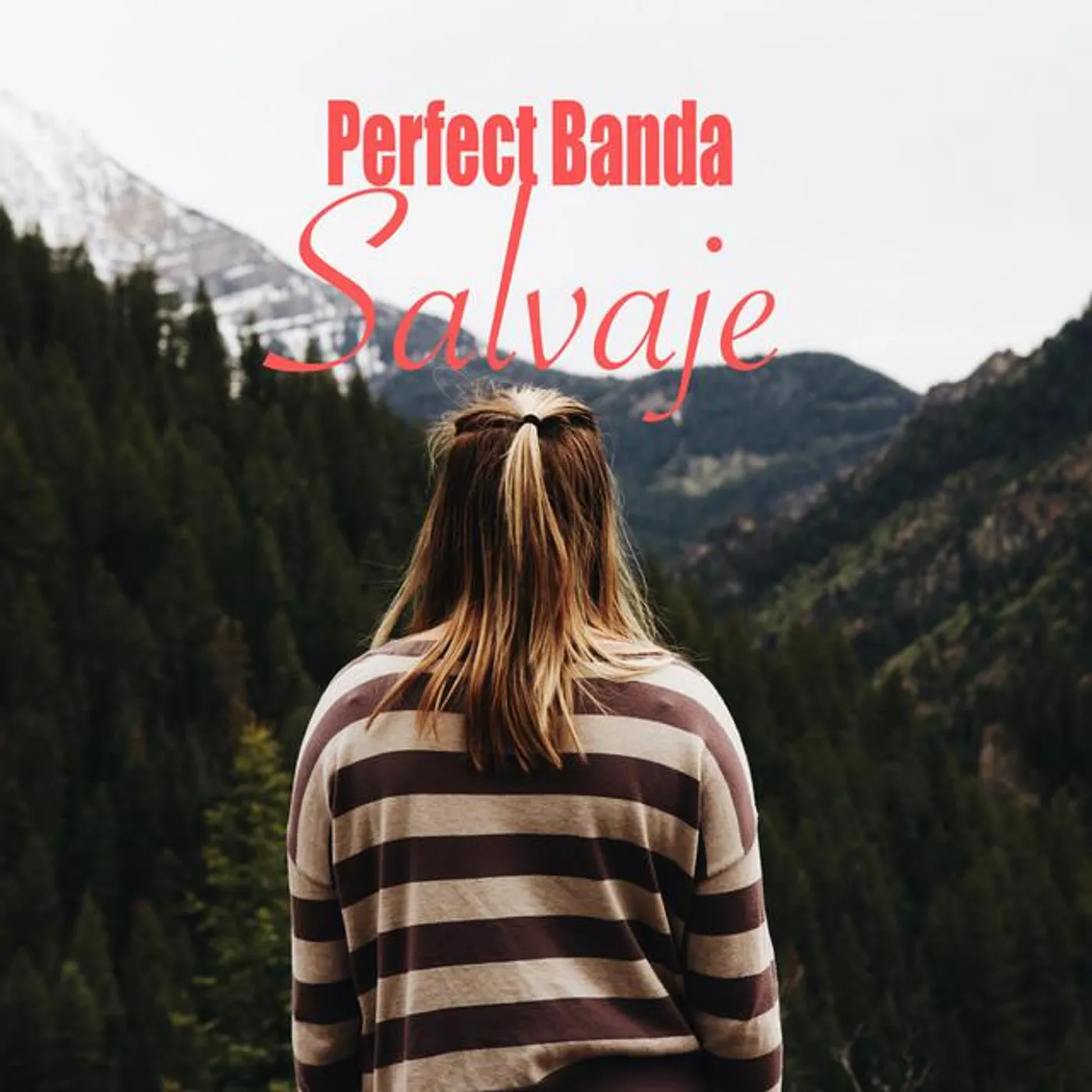 Perfect Banda