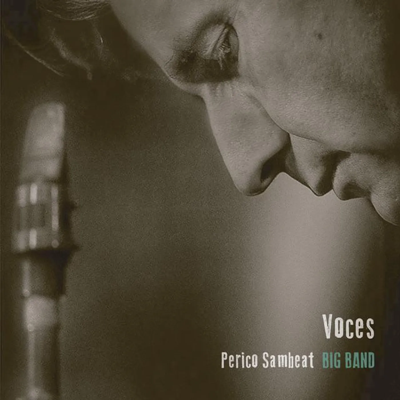 Perico Sambeat Big Band Brand Page