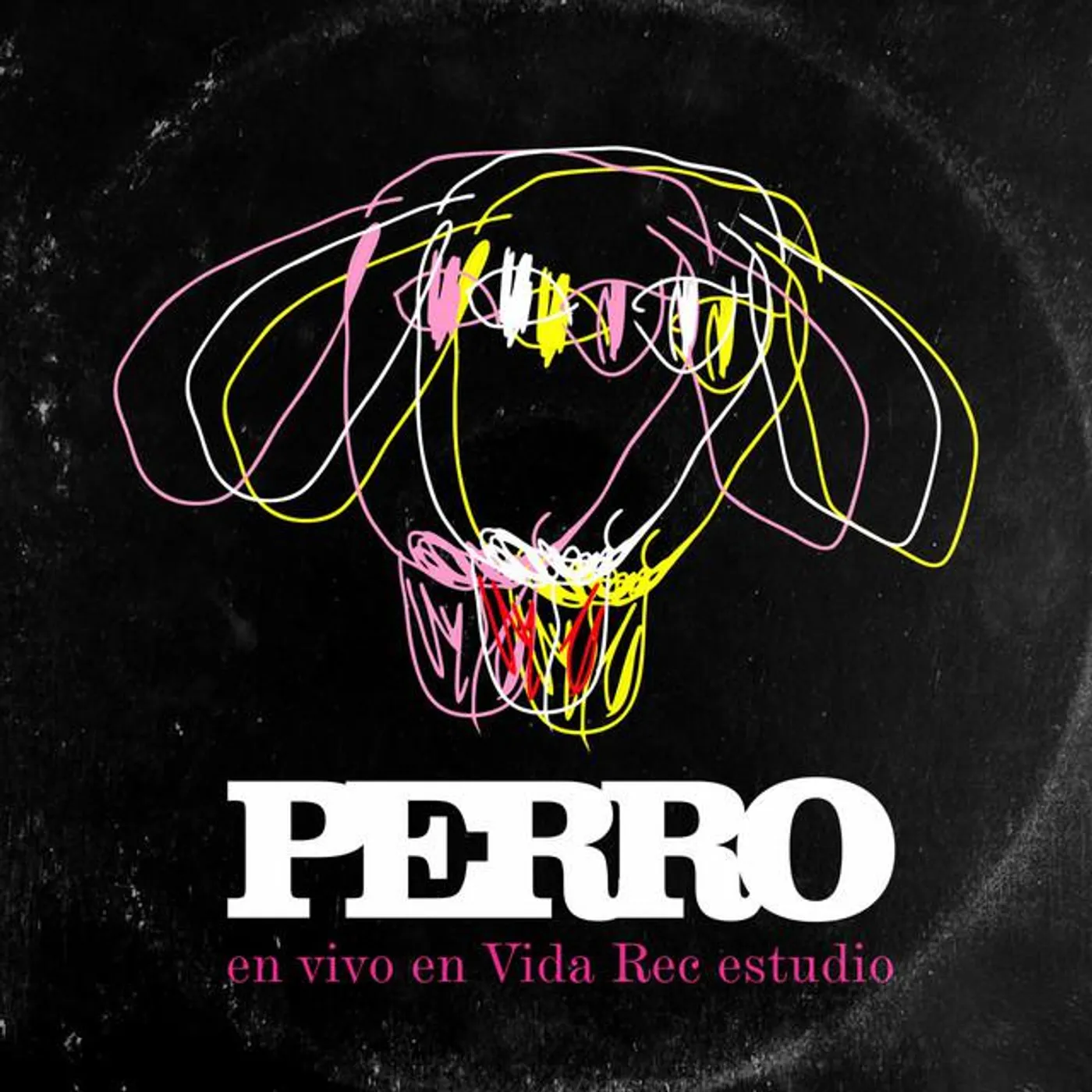 Perro