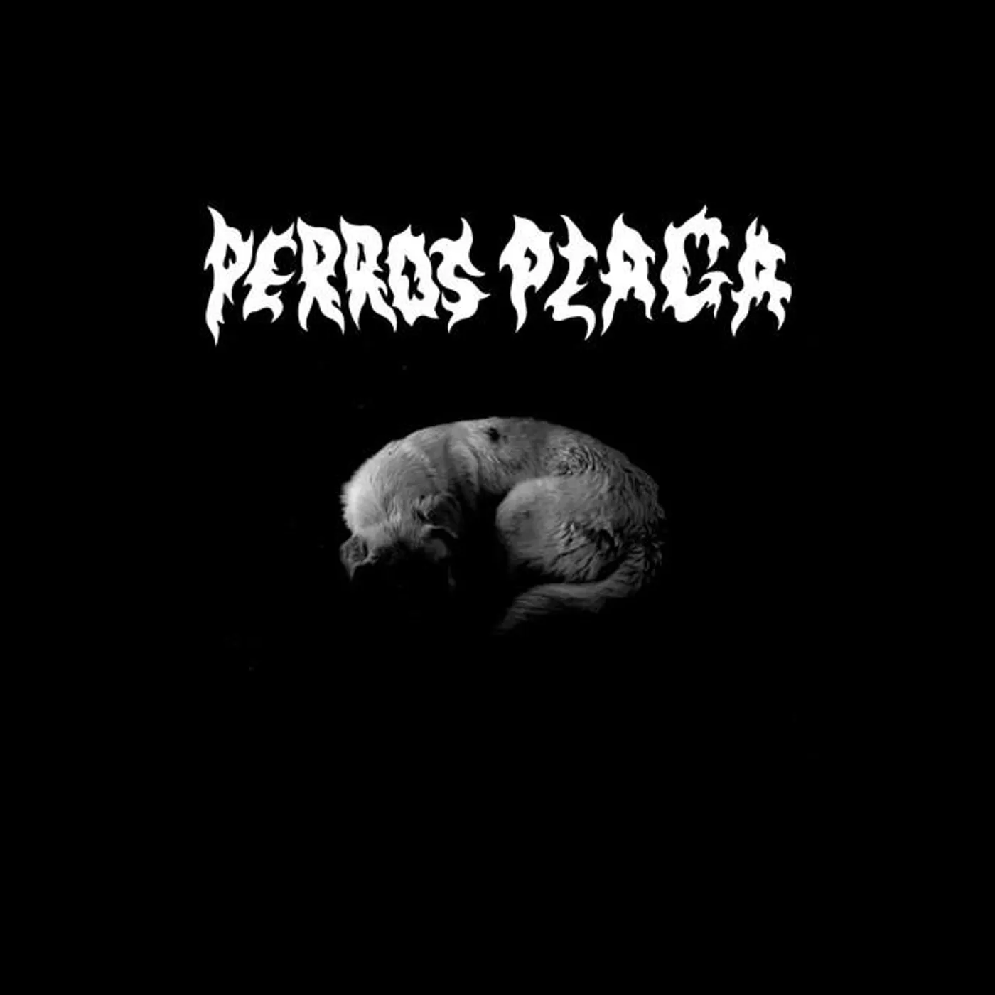 Perros Plaga Brand Page