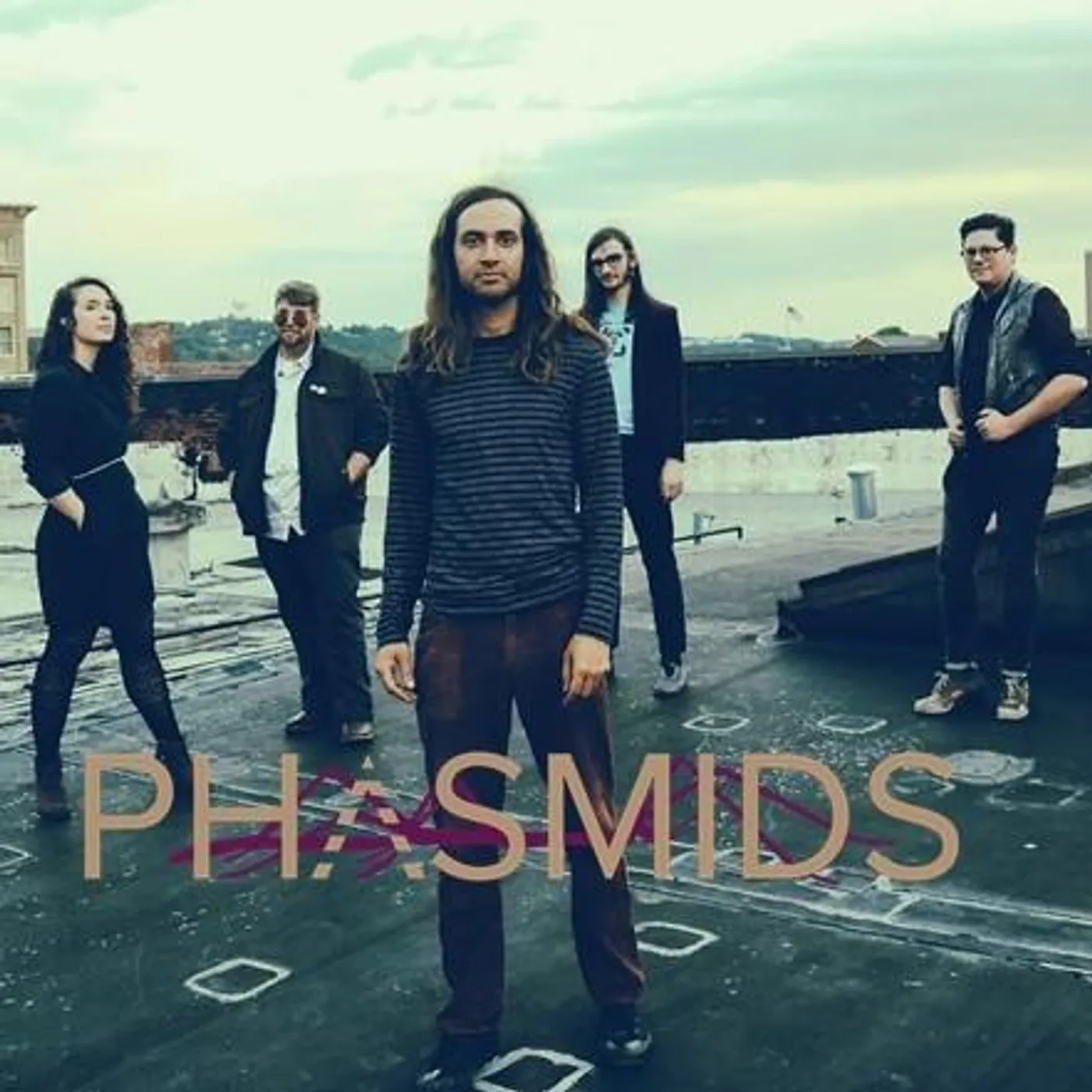 Phasmids