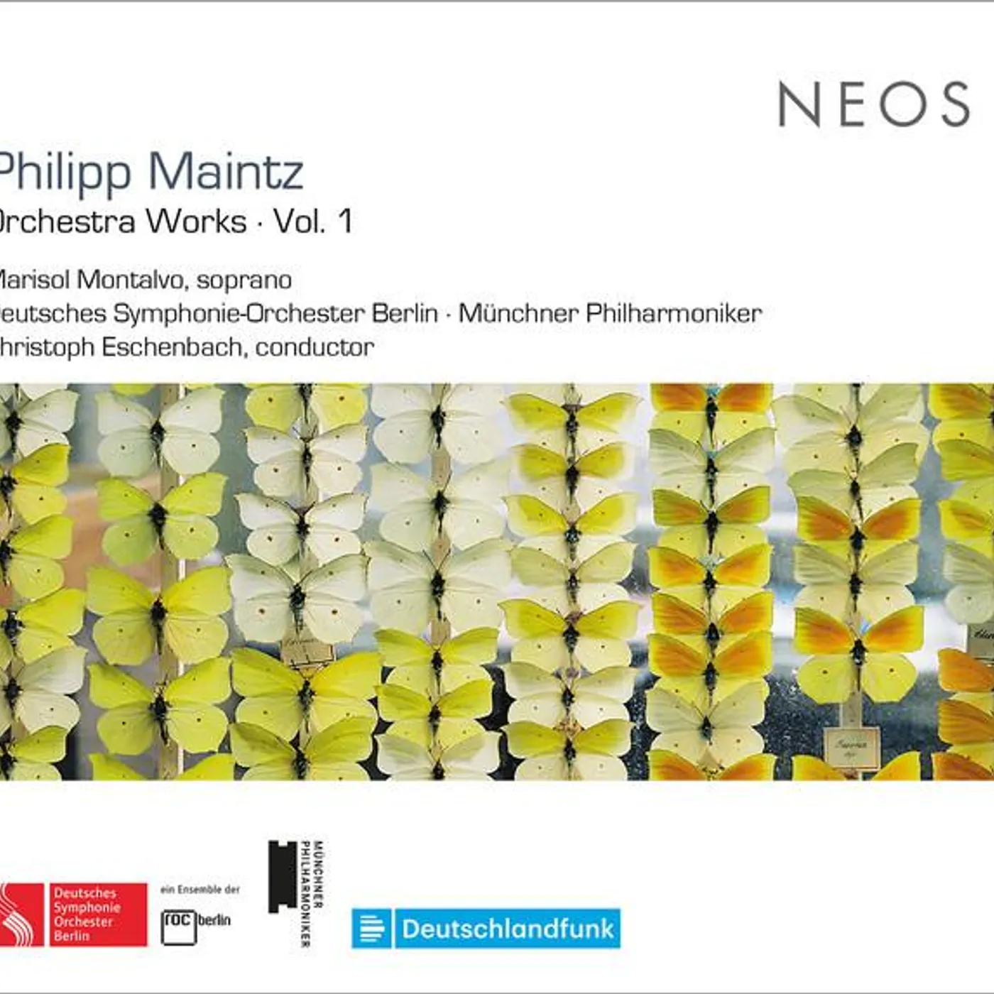 Philipp Maintz