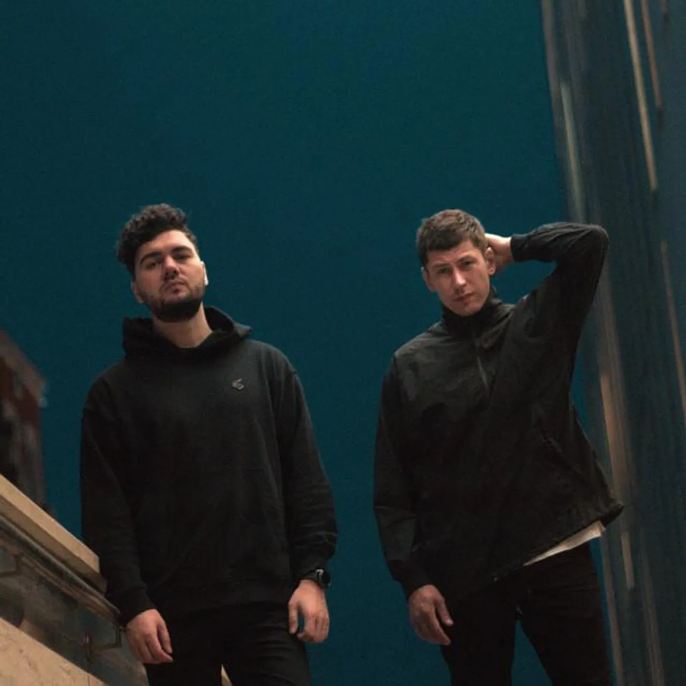 Phlegmatic Dogs Brand Page