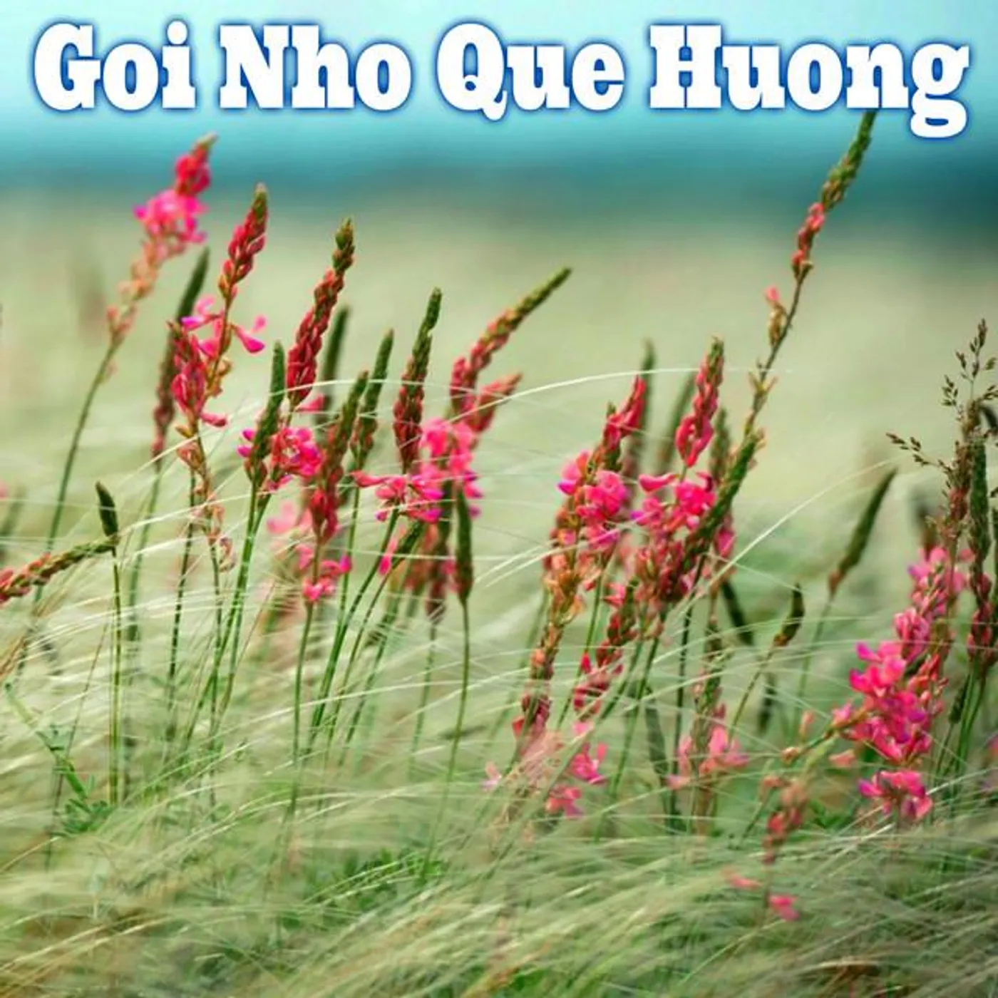 Phong Nguyen Brand Page