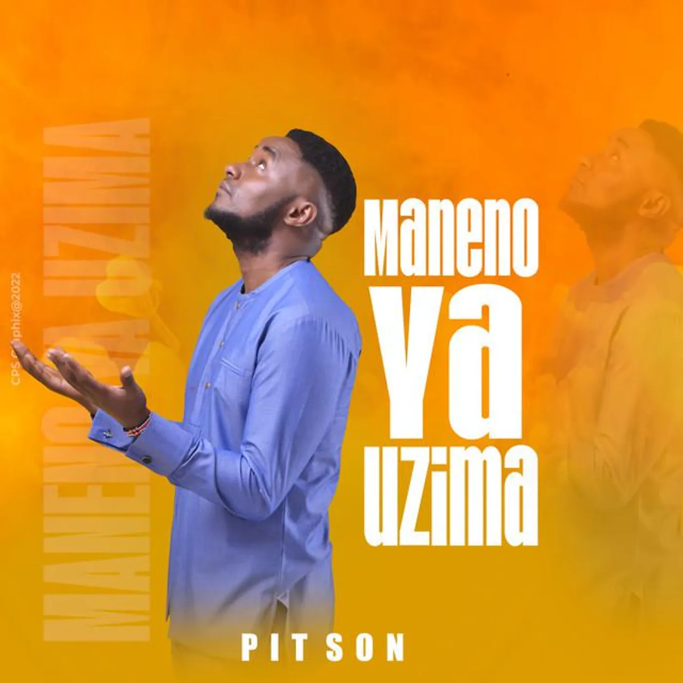Pitson Brand Page