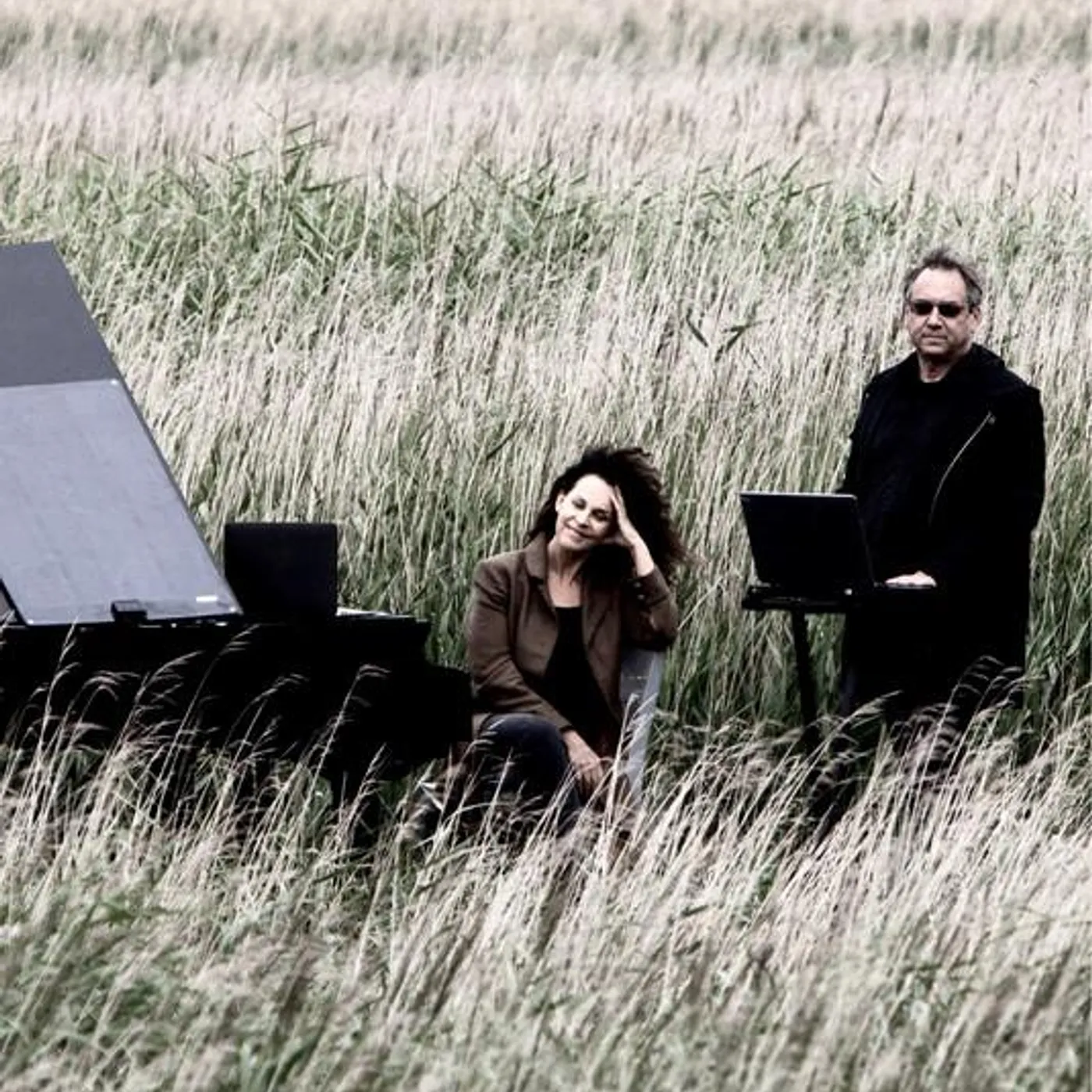 Pianofield