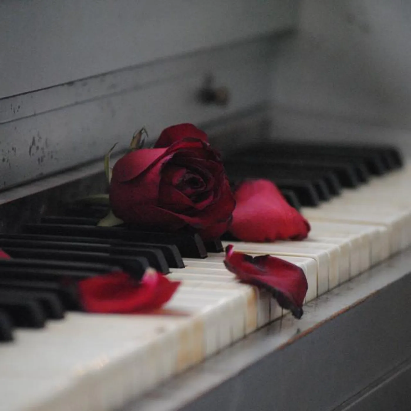 Pianopassion Brand Page