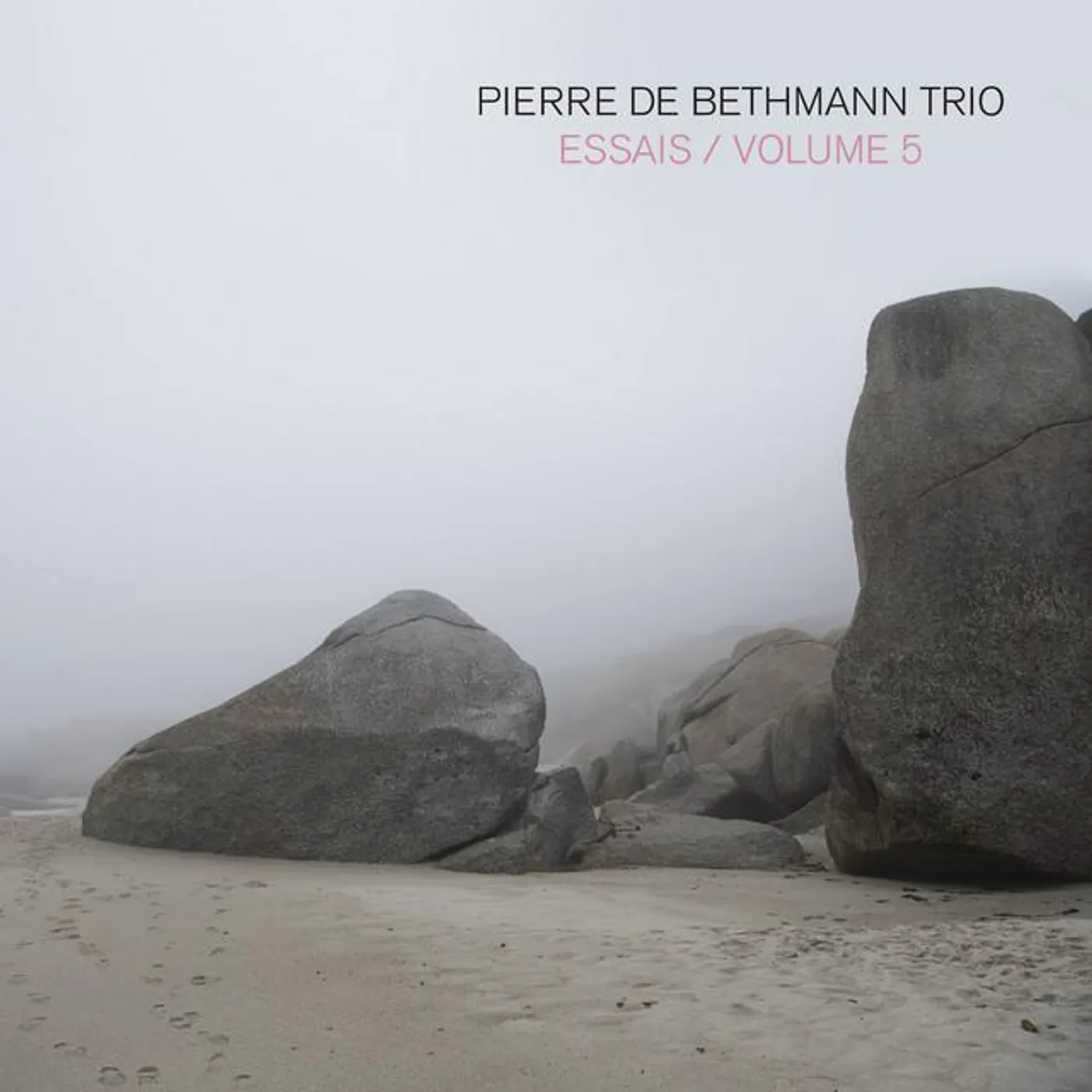 Pierre de Bethmann Trio