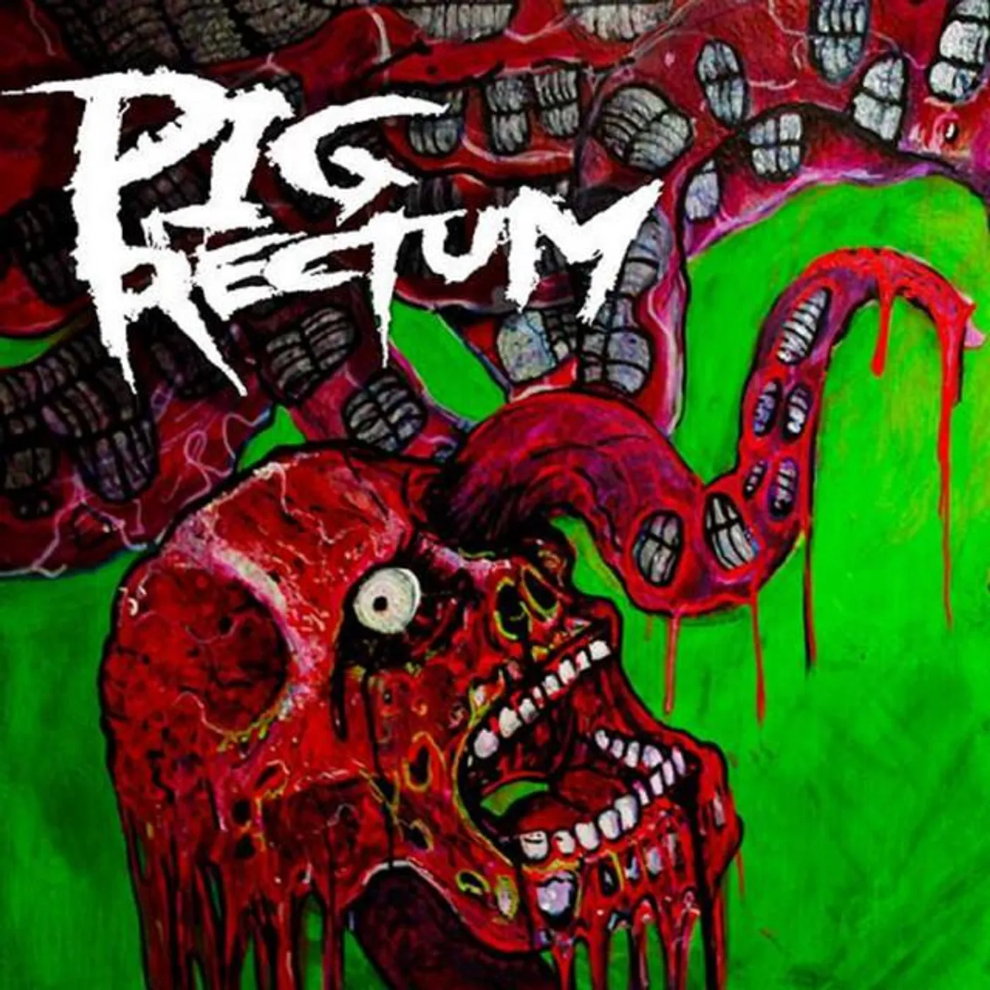 Pig Rectum