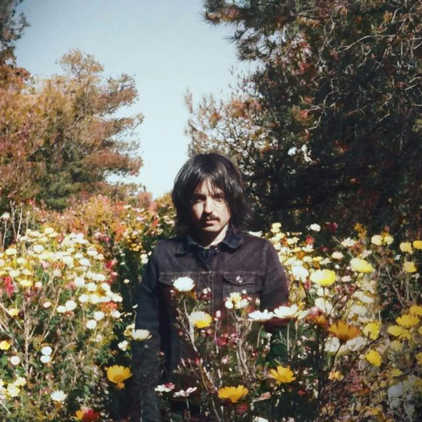 PIGMY