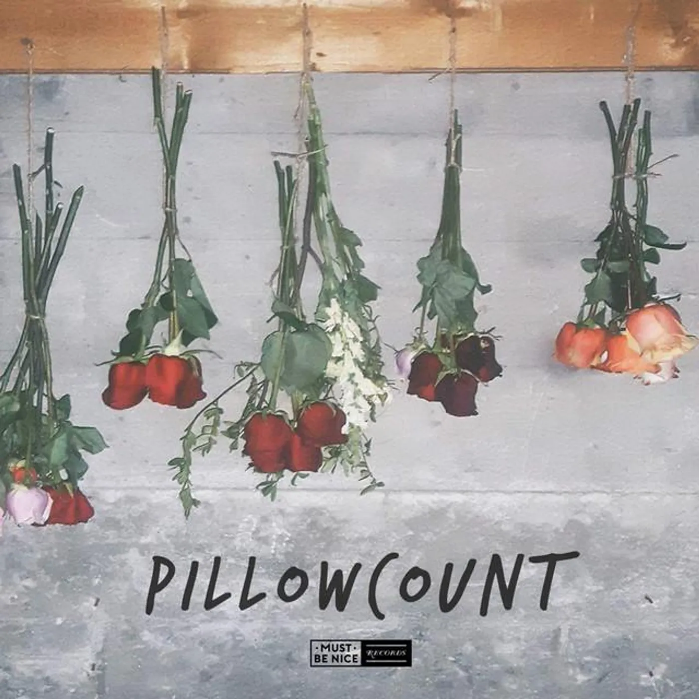 Pillowcount