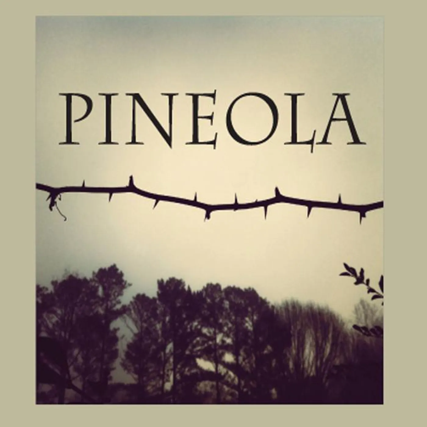 Pineola