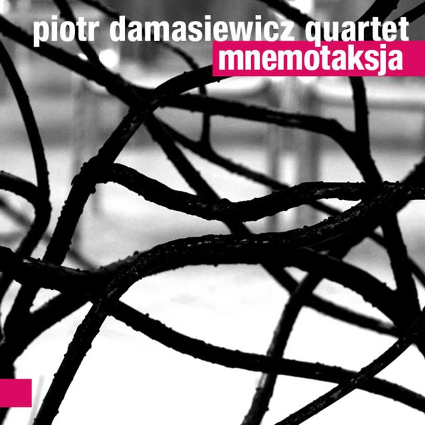 Piotr Damasiewicz Quartet