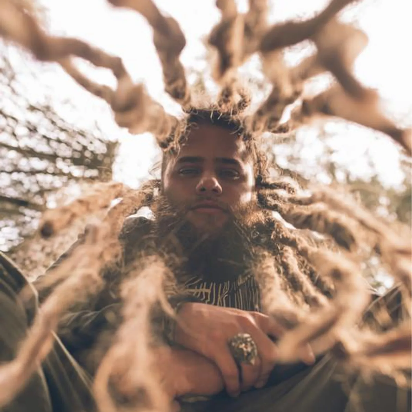 Pipe Roots