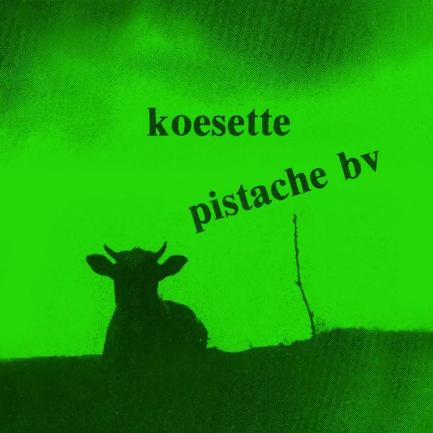 Pistache BV Brand Page
