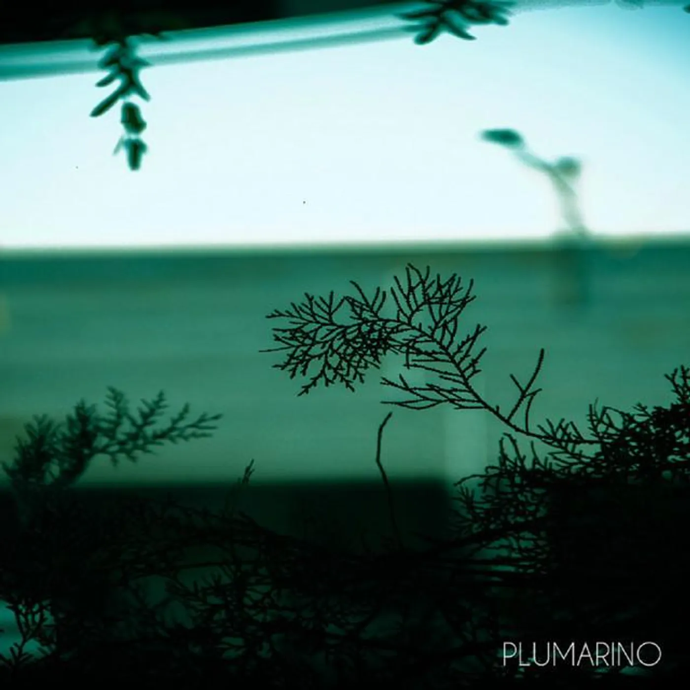 Plumarino