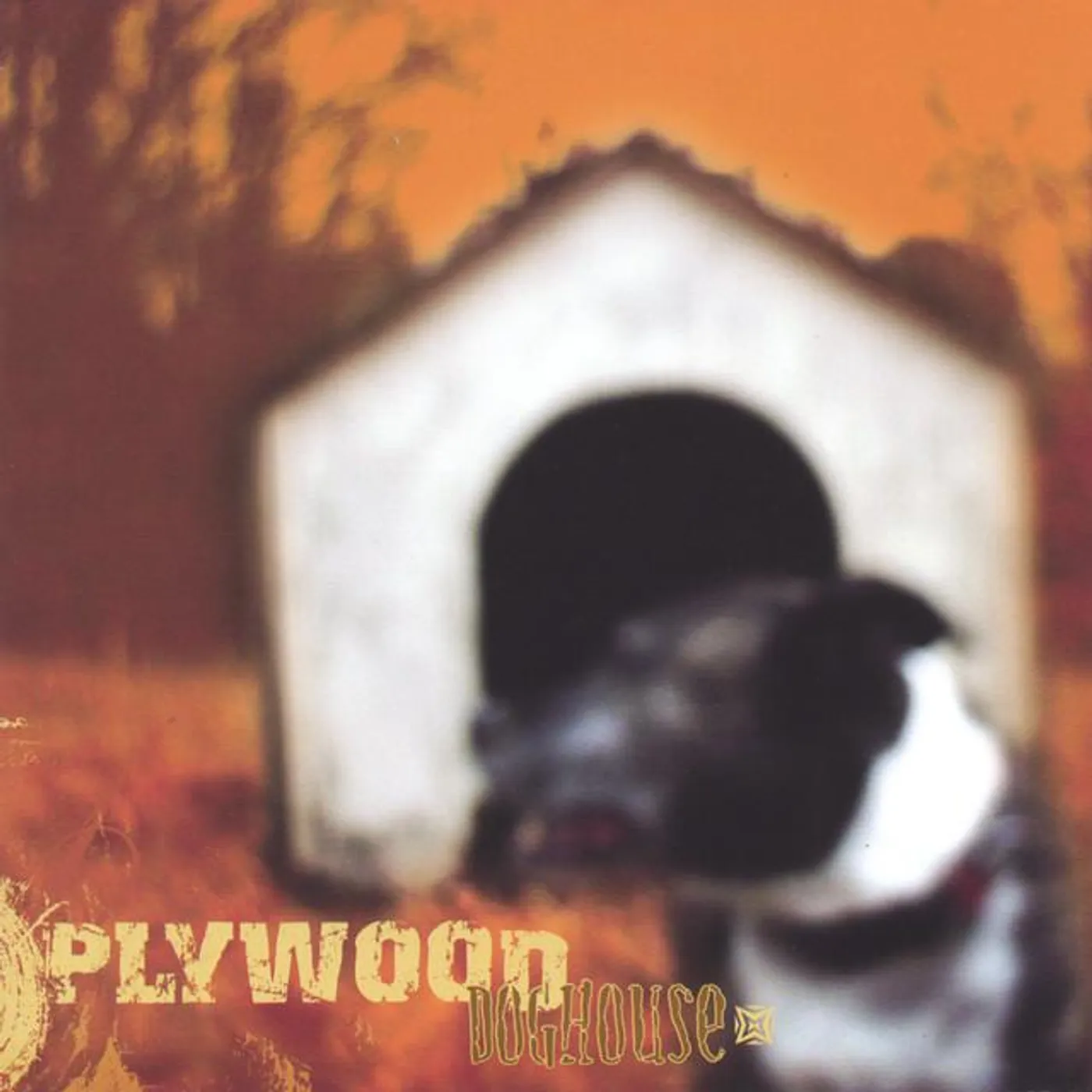 Plywood Doghouse Brand Page