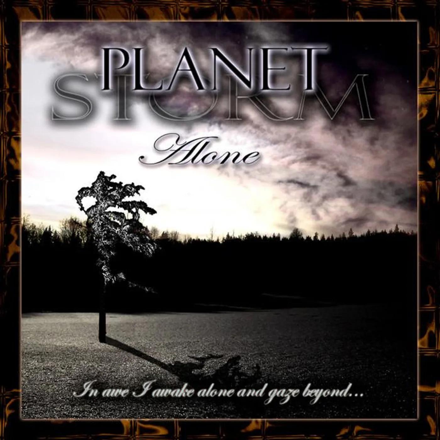 Planet Storm Brand Page