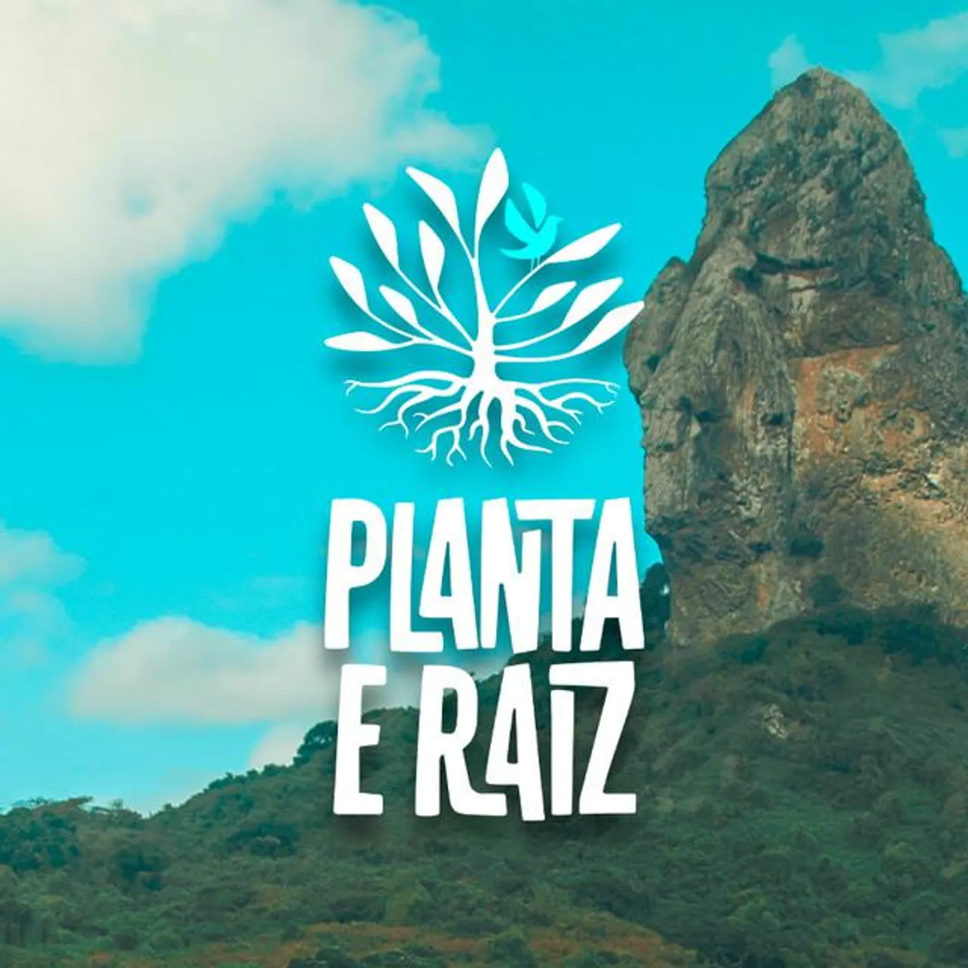 Planta E Raiz Brand Page