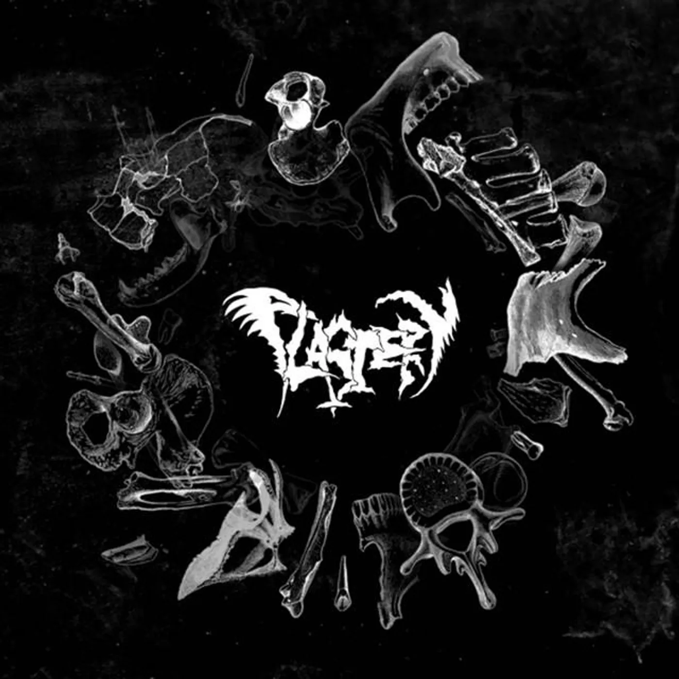 Plastery Brand Page