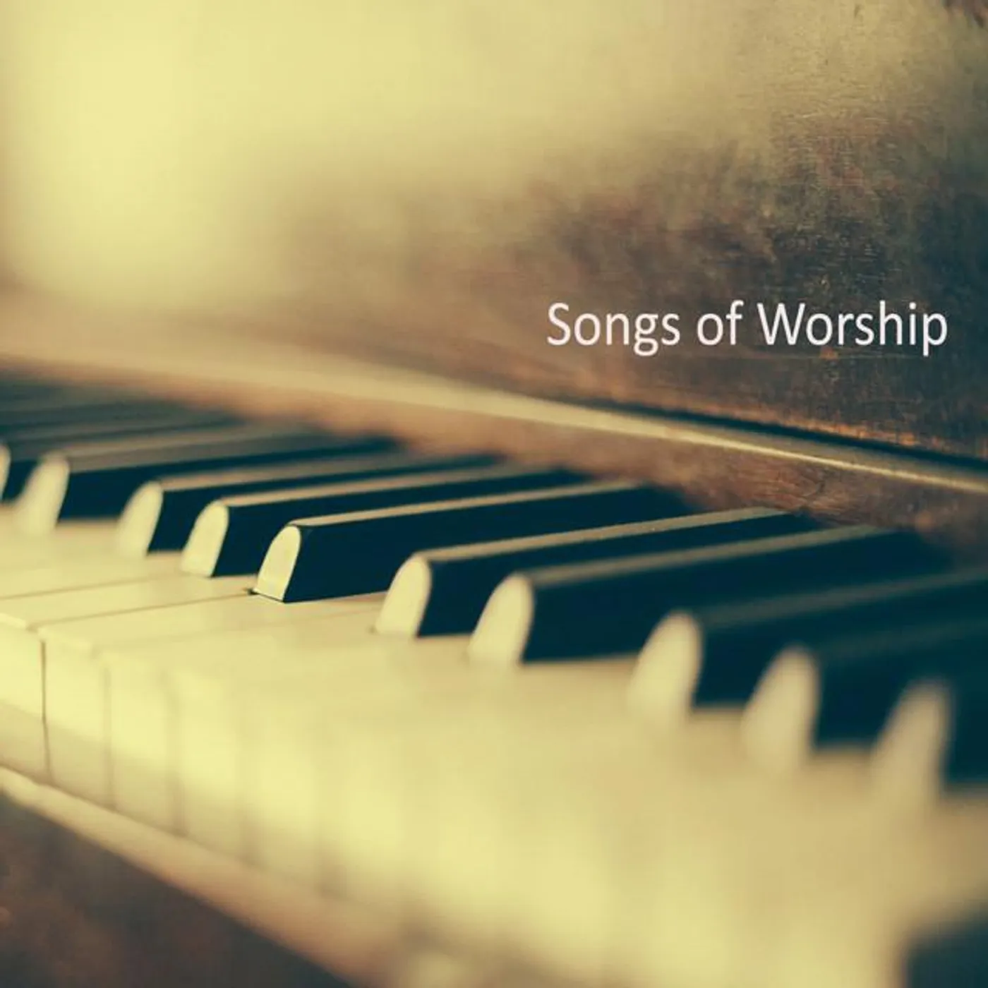 Praise and Worship Orchestra Brand Page