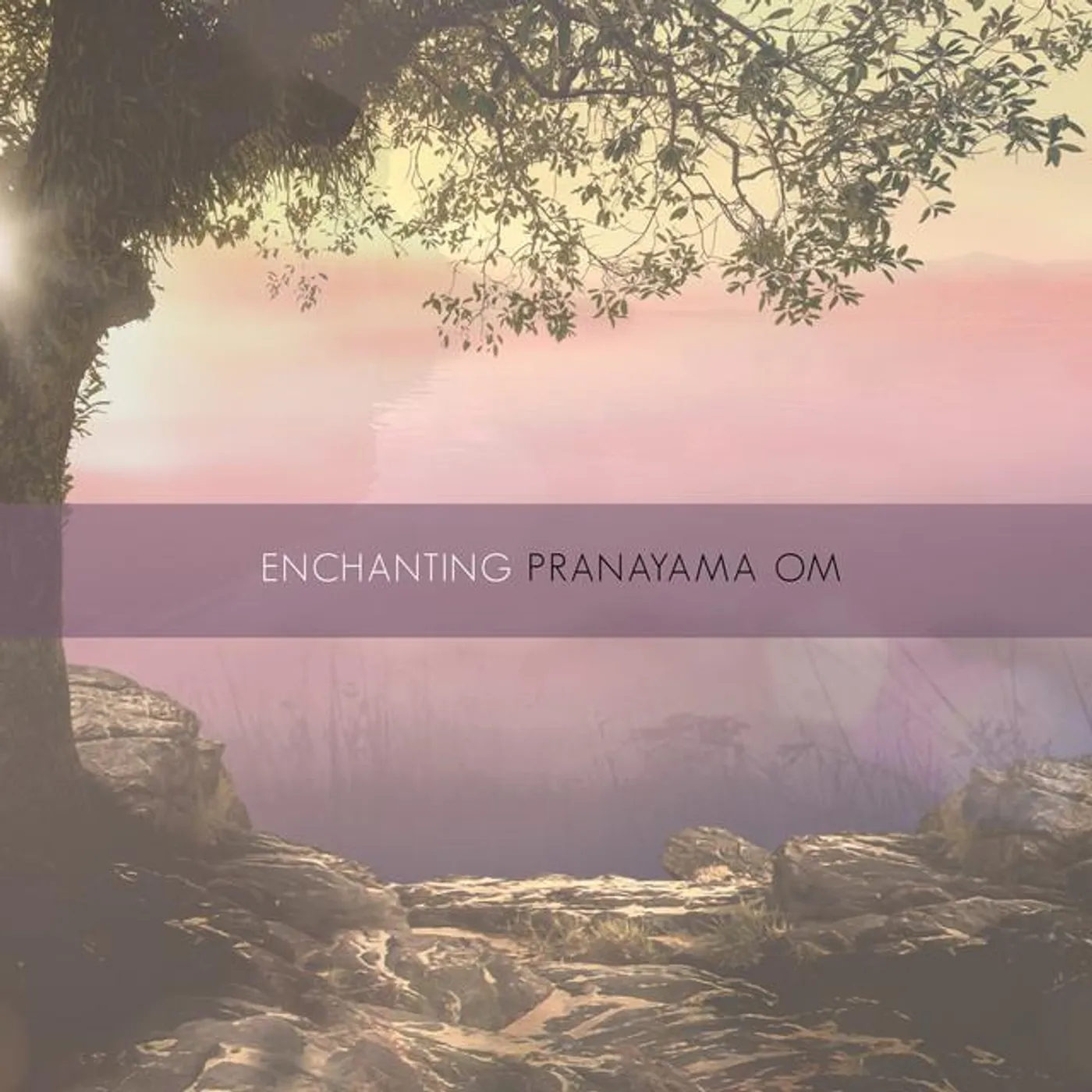 Pranayama Om