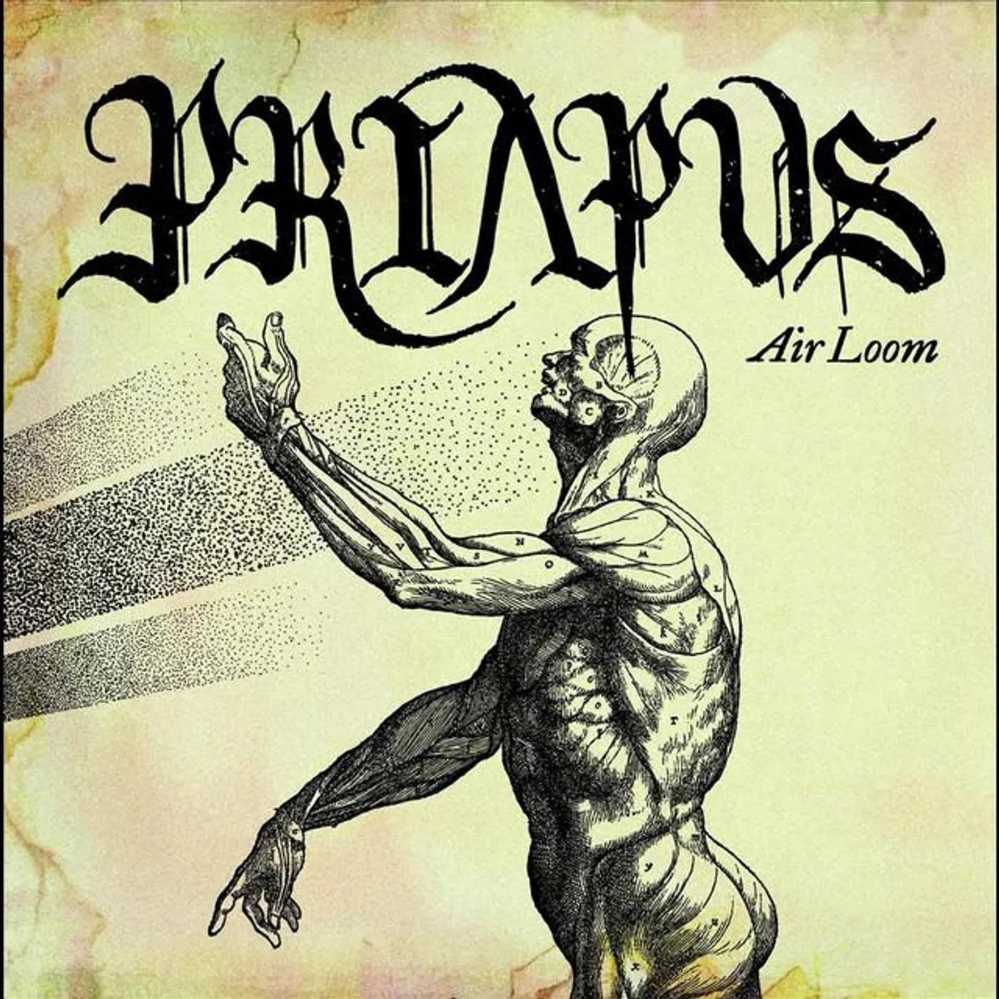 Priapus