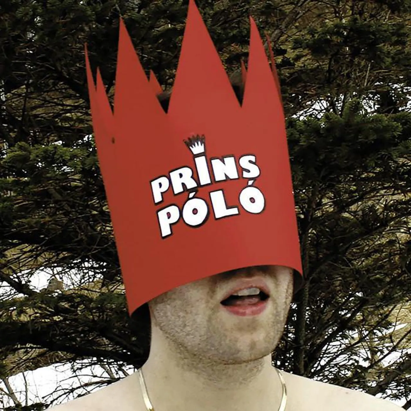 Prinspolo