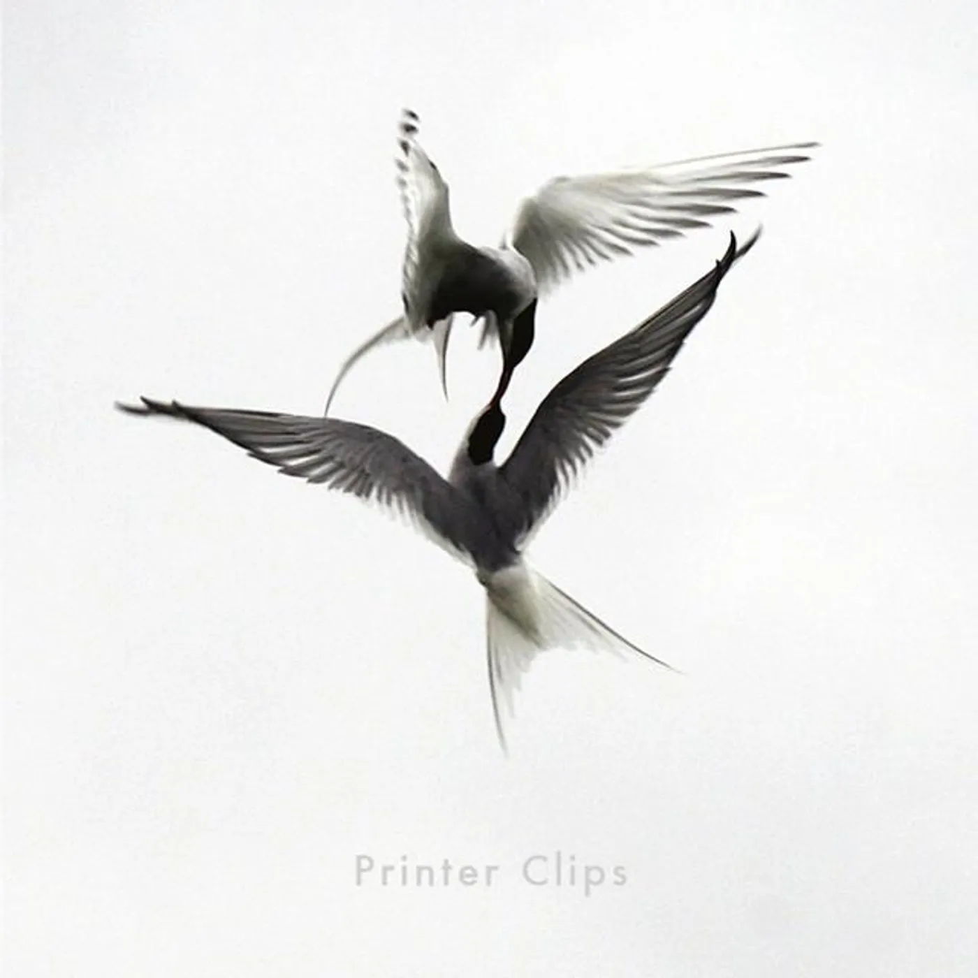 Printer Clips Brand Page