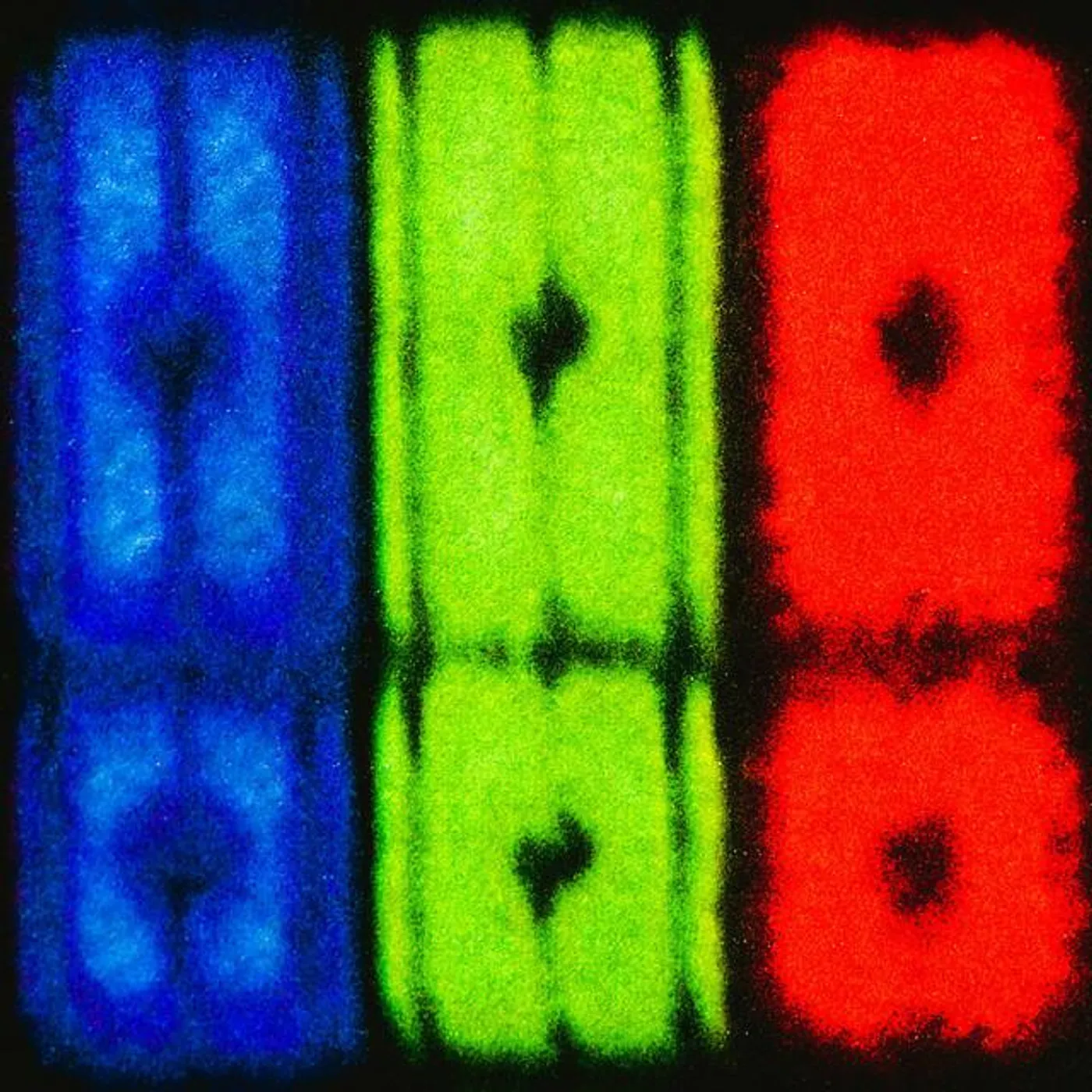 Prisms