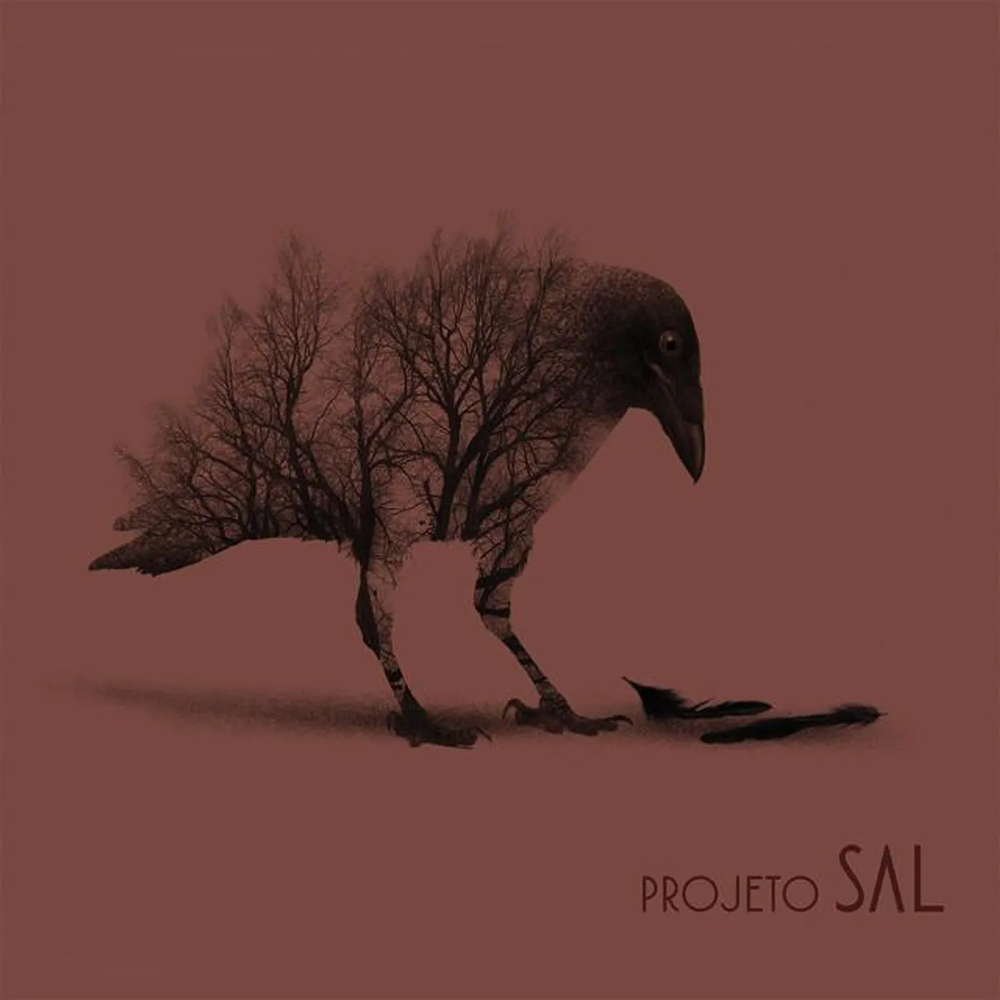 Projeto Sal