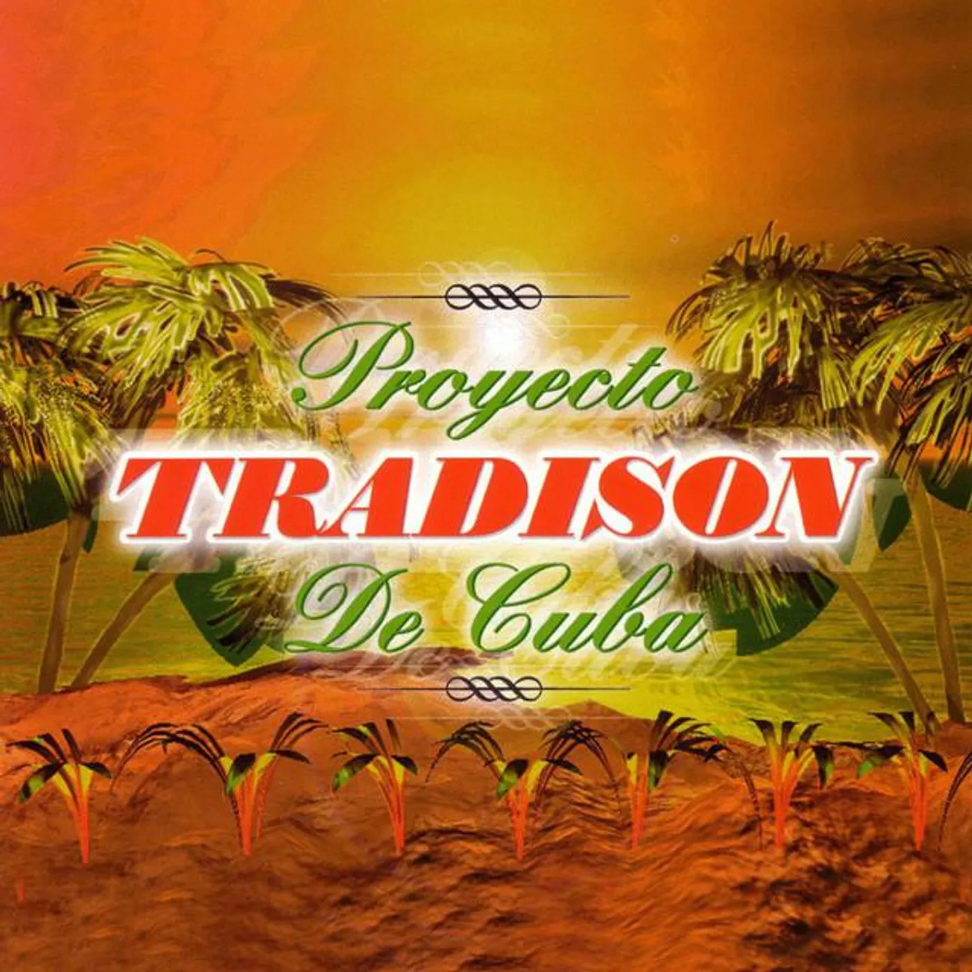 Proyecto Tradison De Cuba
