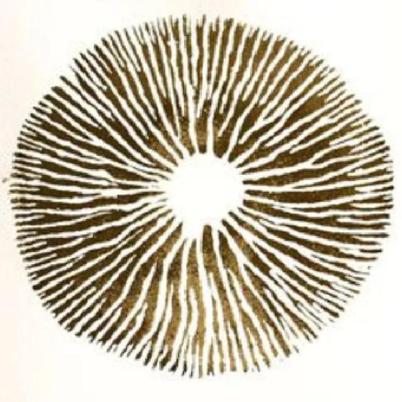 Psilosamples