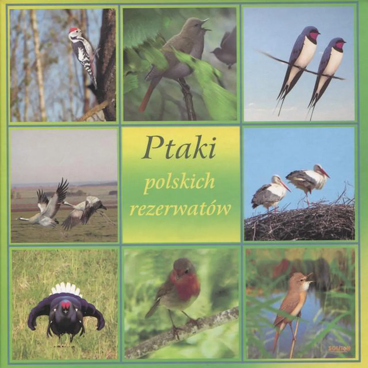 Ptaki polskich rezerwatów