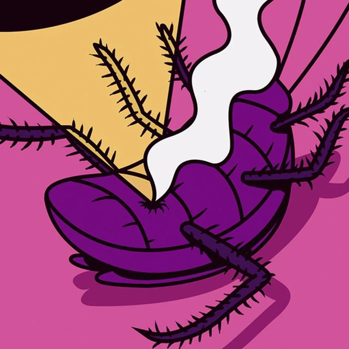 Punkora Brand Page