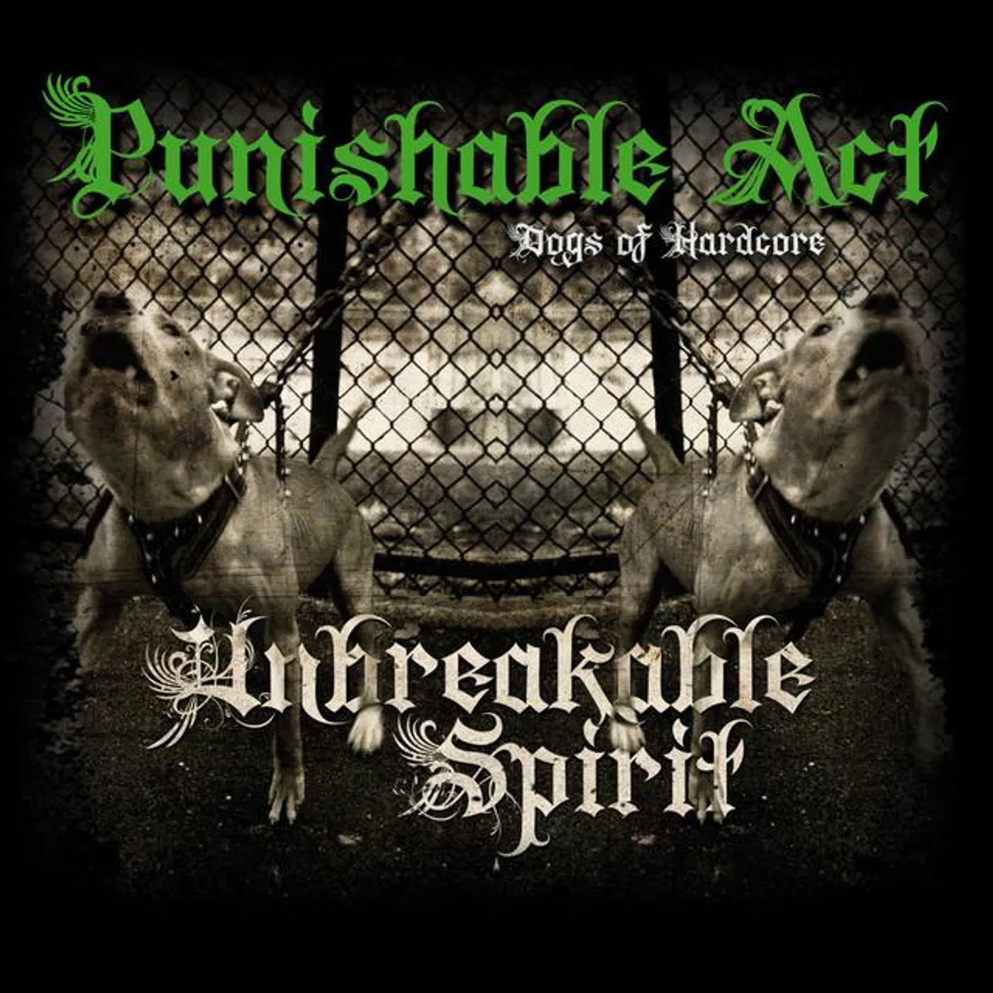 Punishable Act Brand Page