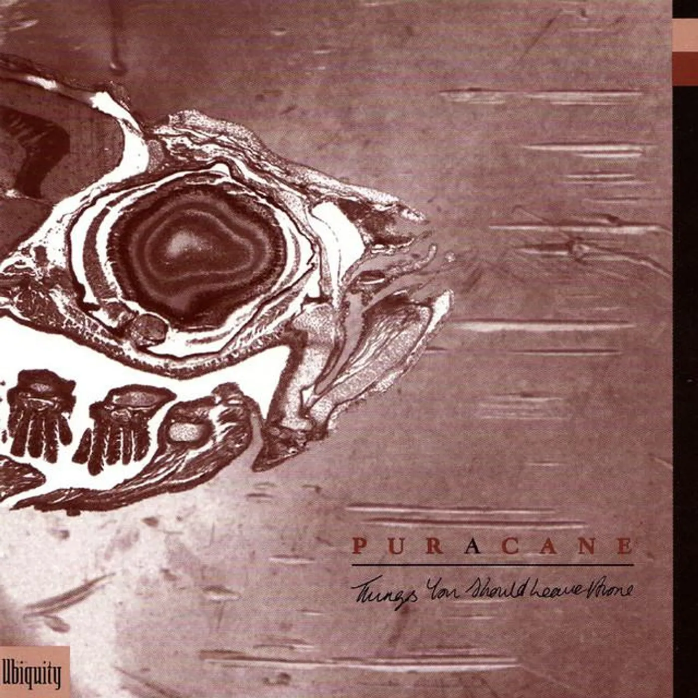 Puracane Brand Page